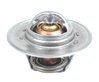 Thermostat (RE64354)